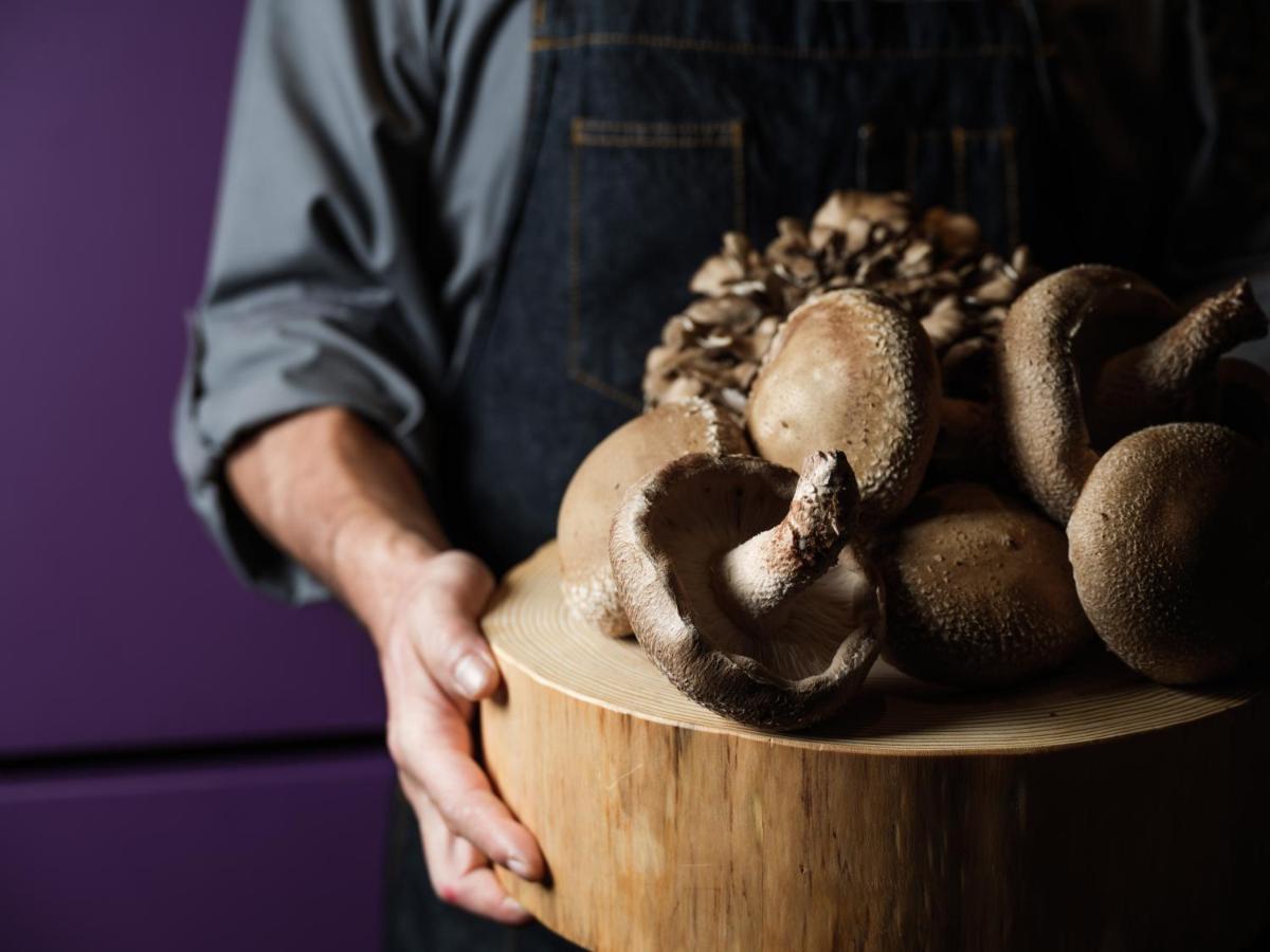 Hyatt Centric كانازاوَ المظهر الخارجي الصورة Shiitake mushrooms